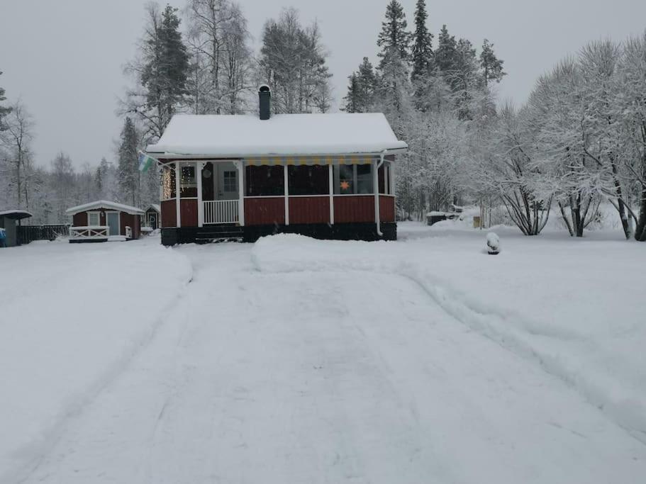 Cabin 70M From Lake. Big Garden Östersund Exteriér fotografie